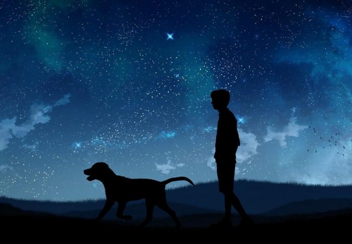 গন্তব্যহীন